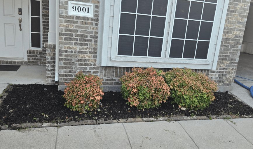 MULCHING SERVICES